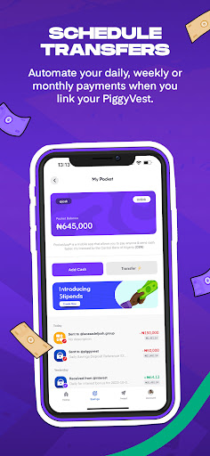 Pocket App - By PiggyVest