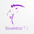 Souletics® TV6.000.1