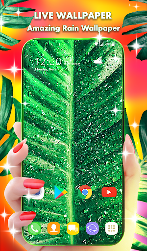 Android application Tropical Rain Wallpaper Theme screenshort