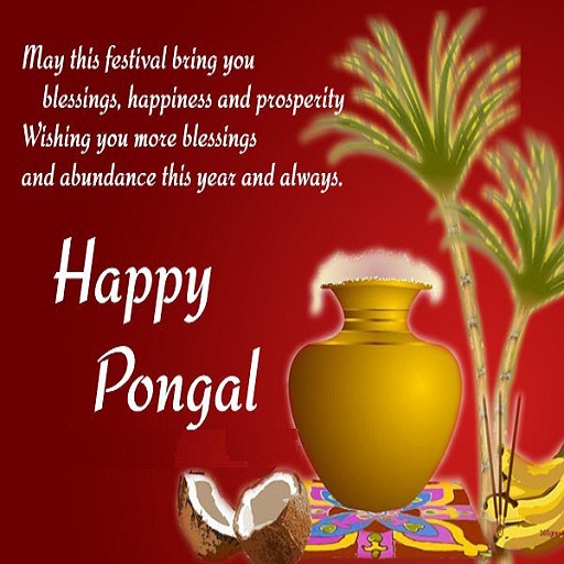 Pongal wishes status greetings