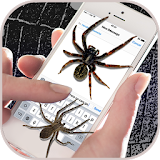 Spider on Screen  -  Funny Prank App icon