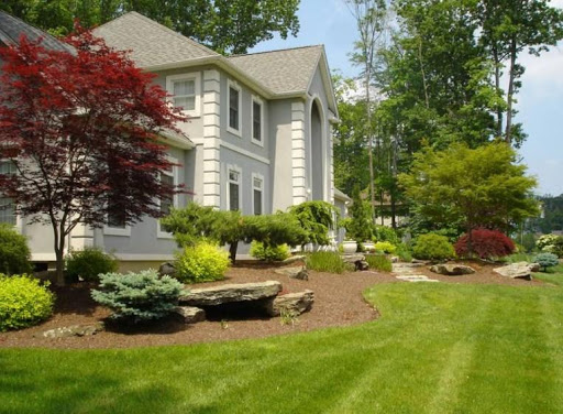 Front Yard Designs