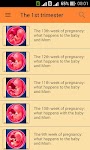 screenshot of Pregnant. Pregnancy by week. P