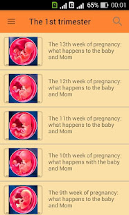 Pregnant. Pregnancy by week. Pregnancy calendar