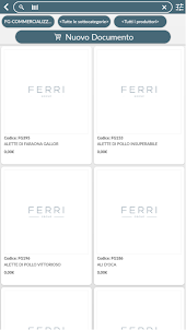 FerriGroup catalogo e ordini