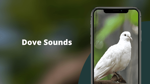 Dove Sounds Screenshot
