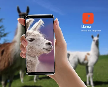 Llama Sound Effects