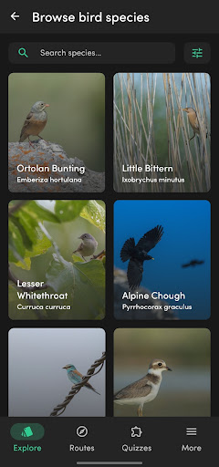 e-Pirus Birding Screen 3