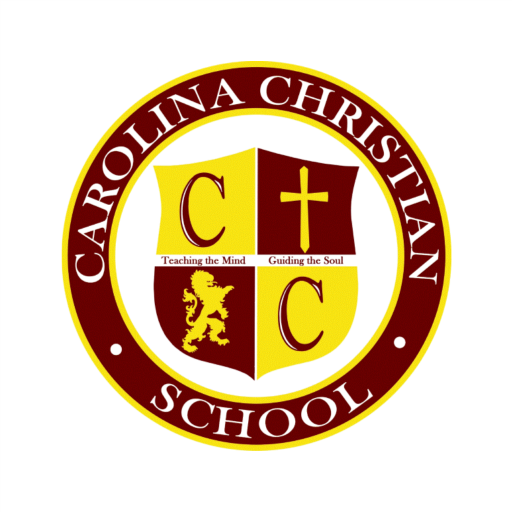 CCS LIONS CONNECT logo