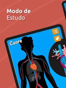 Jogando Anatomia (Completo) - Apps on Google Play