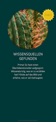 Danakil Wünschelrute Screen 3