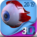 Cover Image of Download Human eye anatomy 3D  APK