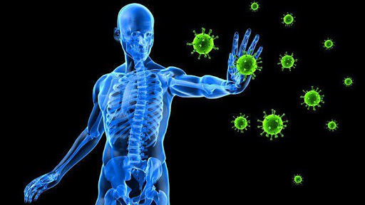 immune system increase app