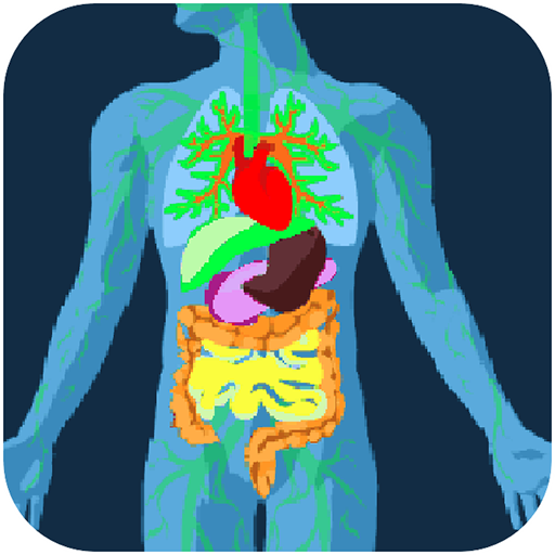 Gut Microbiome  Icon