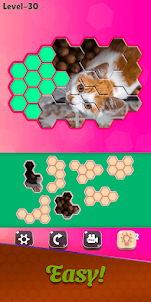Cats Jigsaw! - Hexa Puzzle