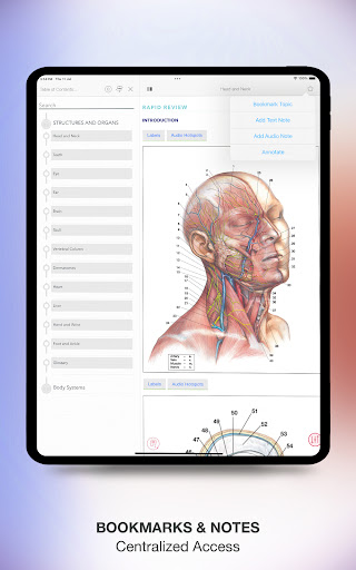 Screenshot of Rapid Review Anatomy Guide