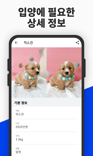 유기견 보호정보 Screen 3