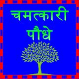 Miraculous plant in hindi icon
