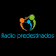 Radio Predestinados Windows에서 다운로드