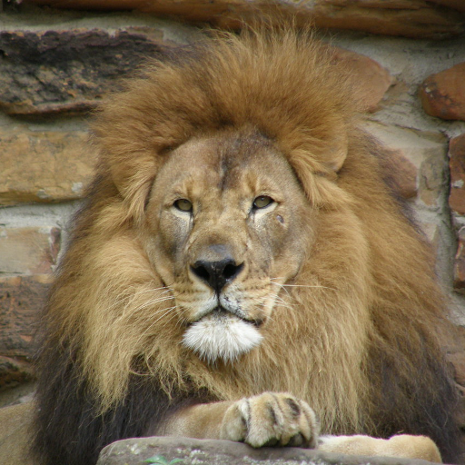 Lion LWP logo
