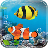 Aquarium Fish Live Wallpaper 2019: Koi Fish Free icon