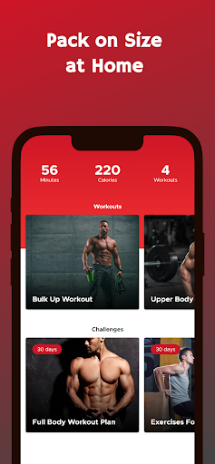 Bulk Up at Home - Build Muscle Screen 2