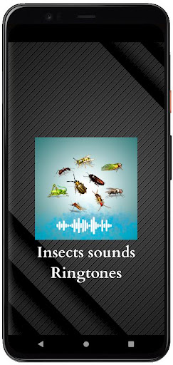 Insects sounds