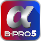 Brica BPRO5 Download on Windows