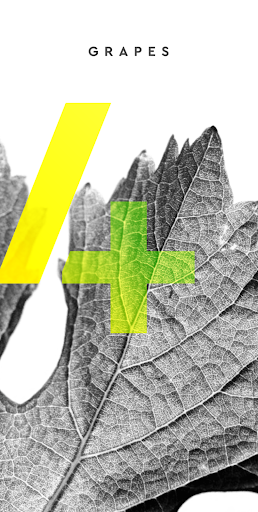 Android application 4Grapes - Your vineyard app screenshort