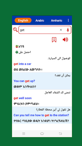 Arabic Amharic Dictionary Screen 2