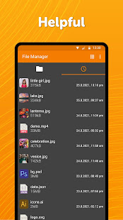 Simple File Manager Pro