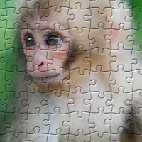 Quebra-Cabeças Macacos Puzzles