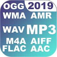 Аудио Конвертер MP3 WAV WMA FLAC AMR AAC OGG и тд.