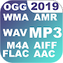 Audio Converter MP3 WAV WMA FLAC AMR AAC OGG etc.