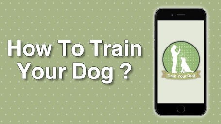 How To Teach a Dog