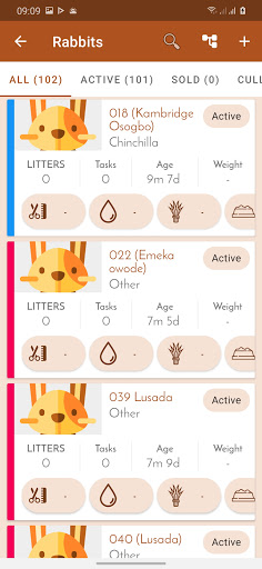 Rabbit Farm record management Screen 2