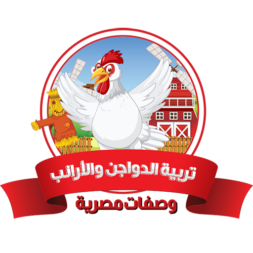 تربية الفراخ في المنزل logo