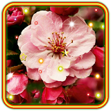Spring Best Wishes icon