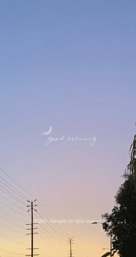 Android application [메리골드] Good evening 카톡 테마 screenshort