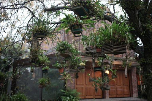 Screenshot of Orchid Garden