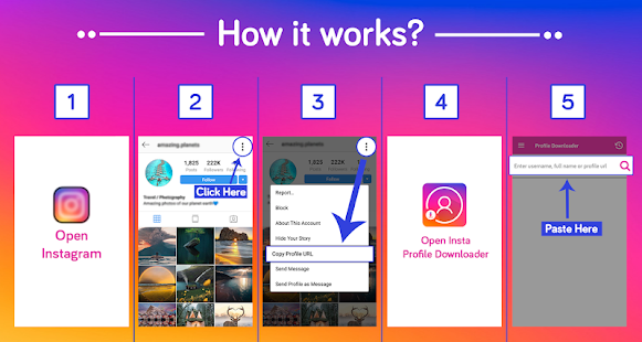 Profile Picture Downloader for Instagram Screenshot