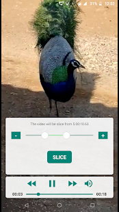 Divisor de video rápido para captura de pantalla de estado de Whatsapp