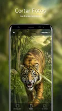 Papeis De Parede Com Tigres 4k Apps No Google Play