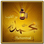 Muhammad Name Live Wallpapers Apk