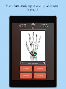 Anatomania - Anatomy Quiz - Apps on Google Play