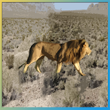 Lion Hunter icon