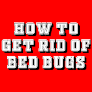 HOW TO GET RID OF BED BUGS