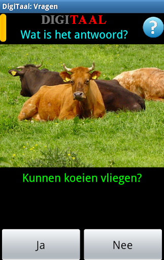 DigiTaal Screen 2