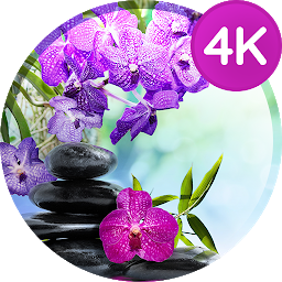 תמונת סמל רקעים עם פרחים ב-4K