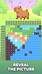Nonogram Relax: Capybara Trip 2